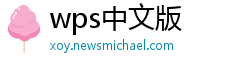 wps中文版